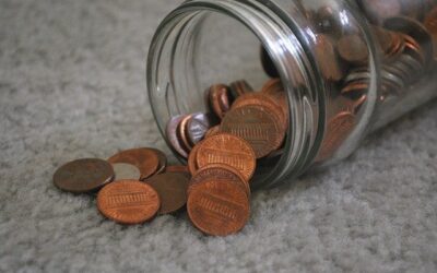 Penny Saved, Penny Spurned