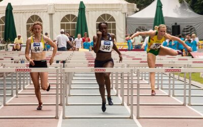 Life Sized Hurdles